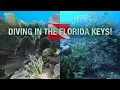SCUBA DIVING in the Florida Keys Rainbow Reef Diving Center Key Largo by saltylens