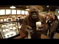 Bigfoot Tries Starbucks for the First Time