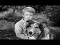 Lassie Lassie s Decision Full Episodes Old Cartoons s For Kids