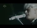 박효신 - 야생화 [Park Hyo Shin 'Wild Flower']  ㅣ @유희열의 스케치북 20161030