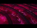 Project Paradis, Mr. Carmack & Promnite - Cut 22