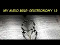 DEUTERONOMY 15 NIV BIBLE with text