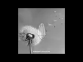 Download Lagu Delanie Leclerc - dandelion \u0026 crystalline (Official Audio)