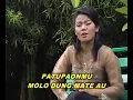 Download Lagu PUTRI SILITONGA - UJU NI NGOLUKKON MA NIAN