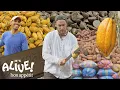 Download Brad Makes Chocolate in Ecuador: Part 1 | It's Alive | Bon Appétit mp4 3gp mp3 videos - waplic