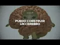 Calle 13 - Muerte En Hawaii (Letra)