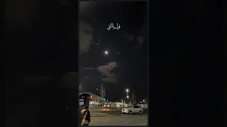 ليه يا قلبي الحب اغاني 