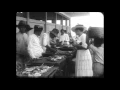 Download Lagu Het passarleven in Nederlandsch Oost-Indië