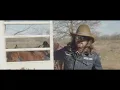Total Feeds - Dale Brisby