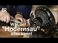 Lagu Baumpilz - Zunderschwamm für alle Fälle: Der Hodernsau hat´s in sich! | Zwischen Spessart\u0026 Karwendel
