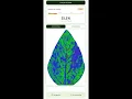 LeafDiag Measure Plant Disease Severity with Image Analysis