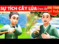 Lagu SỰ TÍCH CÂY LÚA Trọn Bộ | Kho Tàng Phim Cổ Tích 3D | Cổ Tích Việt Nam Mới Nhất 2023 | THVL Hoạt Hình