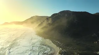                                                                             دندنها