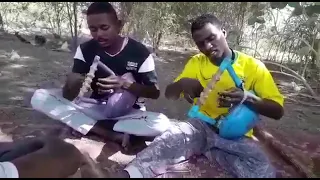 خالد مساوي ومعاذ ابوشوك ياخ الزولة دي جلسات طمبور 2021 