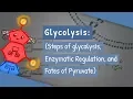 Glycolysis Steps of glycolysis Enzymatic Regulation and Fates of Pyruvate