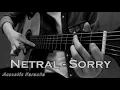 Download Lagu Netral - Sorry ( NoVocal ) Acoustic Karaoke