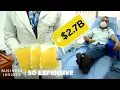 What Makes Blood Plasma So Expensive So Expensive