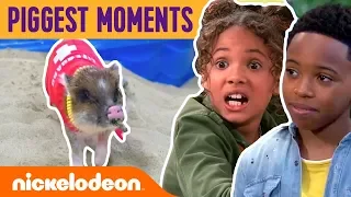 funniest biggest u0026 piggest cousins for life moments nick