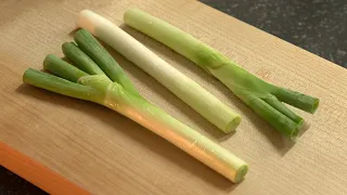 대파 100배 맛있게 먹는법