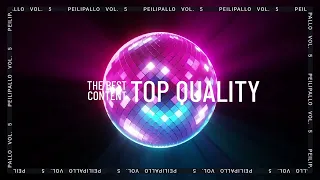 Download Peilipallo vol 5.  -  Best Of The Best Oldschool Mastermix MP3