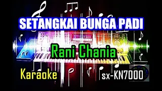 Download Setangkai Bunga Padi | Rani Chania | Dangdut Remix | Karaoke | sx-KN7000 MP3
