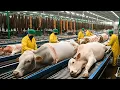 Inside the Cow Leather Factory – How Million-Dollar Products Are Made from Cow Skin (Full Process)..