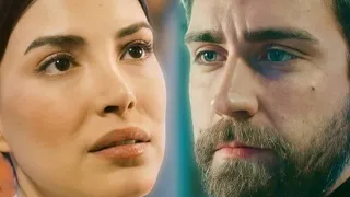 سردار   زهرة   قلبي حاسس فيك   المنظمة دندنها