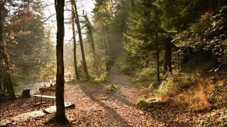 الشيخ عبدالفتاح الطاروطي تلاوه تريح الاعصاب وتهدئ النفوس بجوده عاليه جدا 