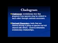 Cladograms Introduction