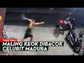 Download Lagu THIEF Slashed with a Sickle in MADURA‼️THIEF TRAPPED IN THE COUNTER❗THIS IS WHAT THE PERPETRATORS...