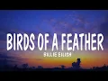 Download Lagu Billie Eilish - BIRDS OF A FEATHER (Lyrics)