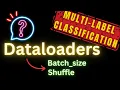 Multi Label Classification Dataloaders in Pytorch