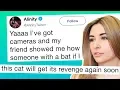 Streamer Alinity s Awful Cat Drama Escalates Viewers Speaking Up Get Banned