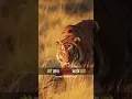 Download Lagu maaf kar dena Meri kamjori nahin Meri aadat hai