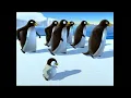 Download Lagu Pigloo - Papa pingouin- YourKidTV