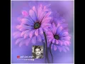 Download Lagu Pournami Neram Paavai Oruthi @spbisaiaruvi8661