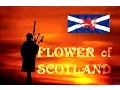 Download Lagu ⚡️FLOWER OF SCOTLAND ⚡️ROYAL SCOTS DRAGOON GUARDS⚡️