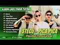 Download Lagu STECU - Faris Adam | PICA PICA | NGAPAIN REPOT | MODE PESAWAT | TOKI PINTU || POP TIMUR VIRAL TIKTOK