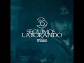 Seguimos Laborando - Grupo 360
