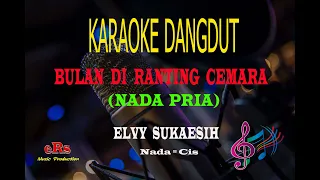 Download Karaoke Bulan Di Ranting Cemara Nada Pria - Elvy Sukaesih (Karaoke Dangdut Tanpa Vocal) MP3