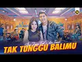 Lagu AINI ZAMMA FT DELVA IRAWAN - TAK TUNGGU BALIMU ( Official Live Video Royal Music )
