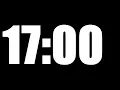 17 MINUTE TIMER LOUD ALARM