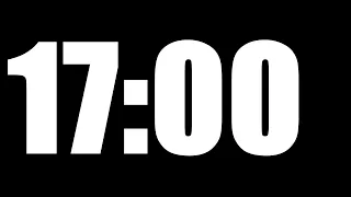 17 MINUTE TIMER LOUD ALARM
