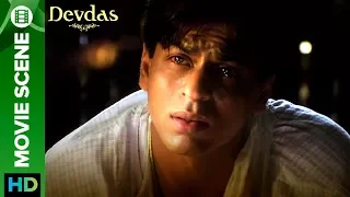 kaun kambakkht bardaasht karne ko peeta hai devdas and chandramukhi