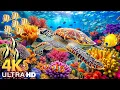 Download Lagu Dive Into the Mesmerizing Underwater Realm🐠Marvel at Sea Animal in The Best 4K ULTRA HD Aquarium .