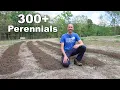 Planting Over 300 Perennial Fruits at the Permaculture Farm