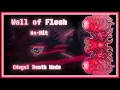 No-Hit Wall of Flesh - Death Mode Calamity Mod
