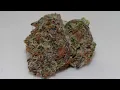 Wedding Mintz by UpNorth Humboldt - Flower Review