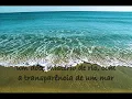 Ela une todas as coisas  -  com letra