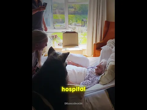 Granddaughter made her final wish come true ❤️
